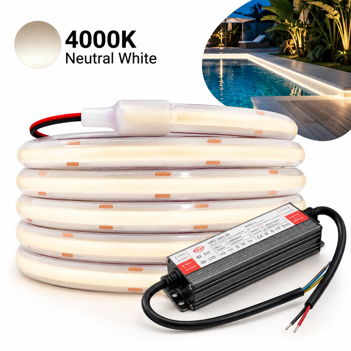 40m IP68 Waterproof COB LED Strip Light Kit for Pools – 24V