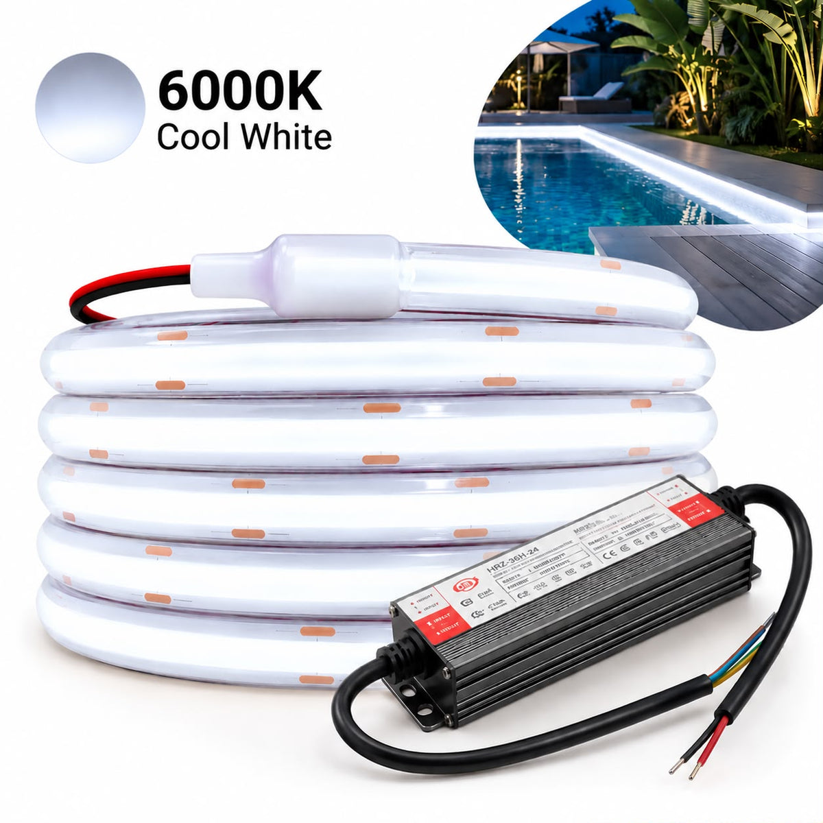 40m IP68 Waterproof COB LED Strip Light Kit for Pools – 24V